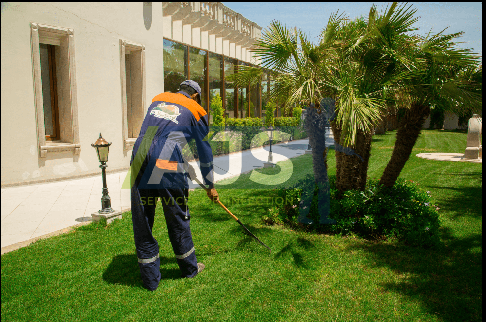 Nettoyage jardin au meilleur prix au Maroc 